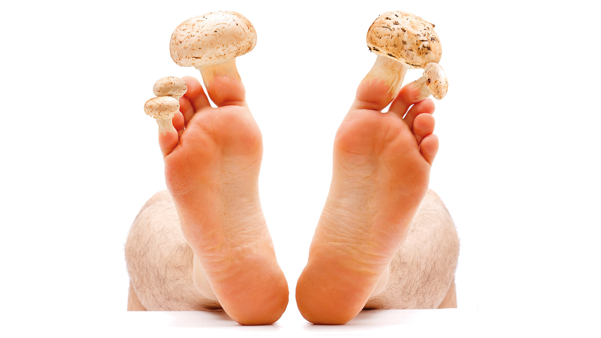 Conditions & Treatments We Treat | Subiaco Foot & Ankle Clinic | Perth  Podiatry