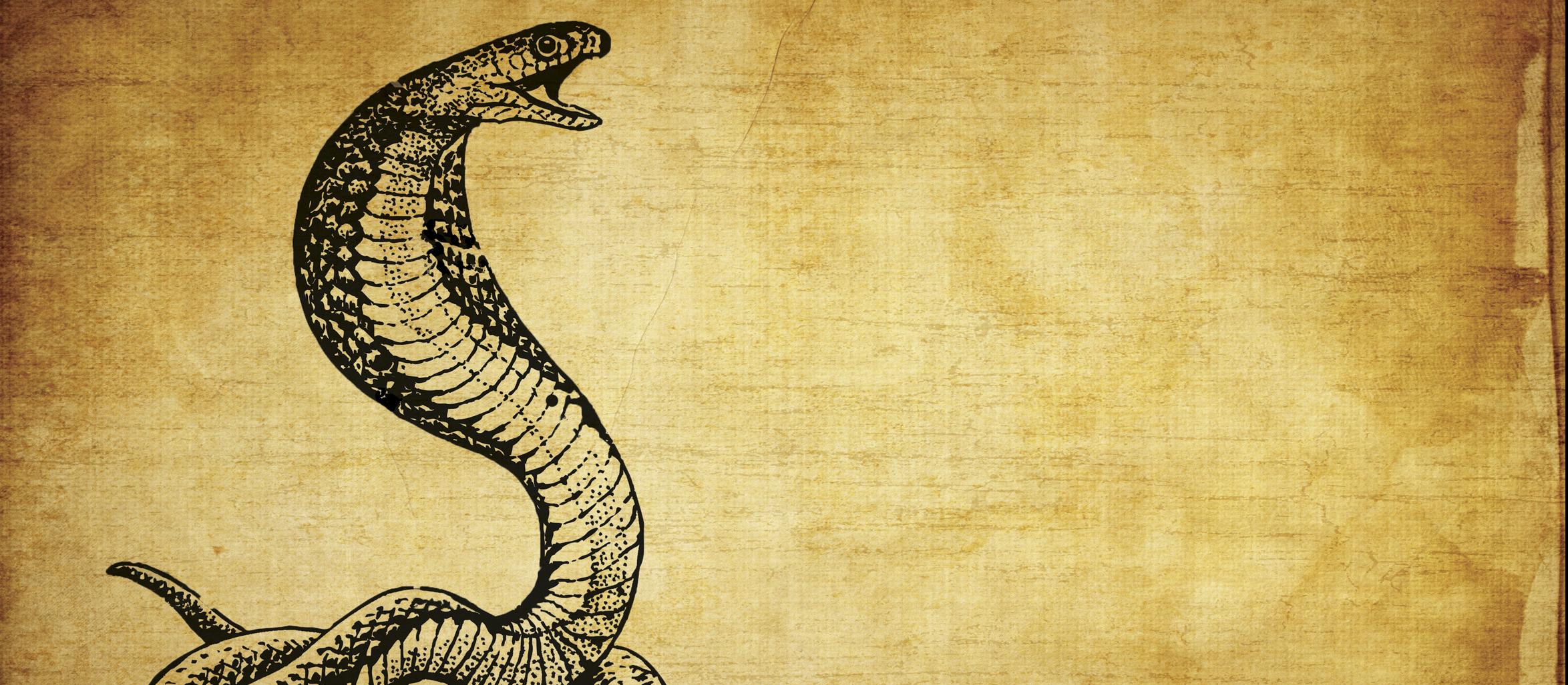 Snake oil or saviour? Demystifying complementary medicine