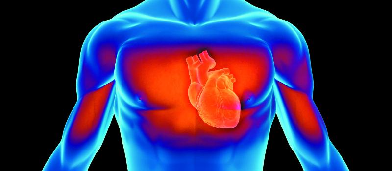 heart stock photo
