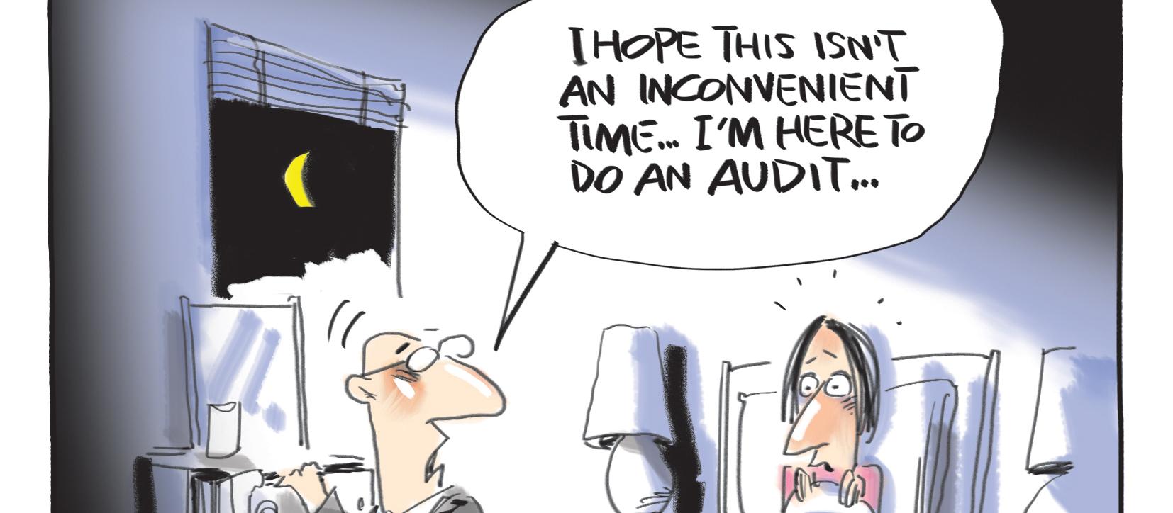 audit cartoon June 2019