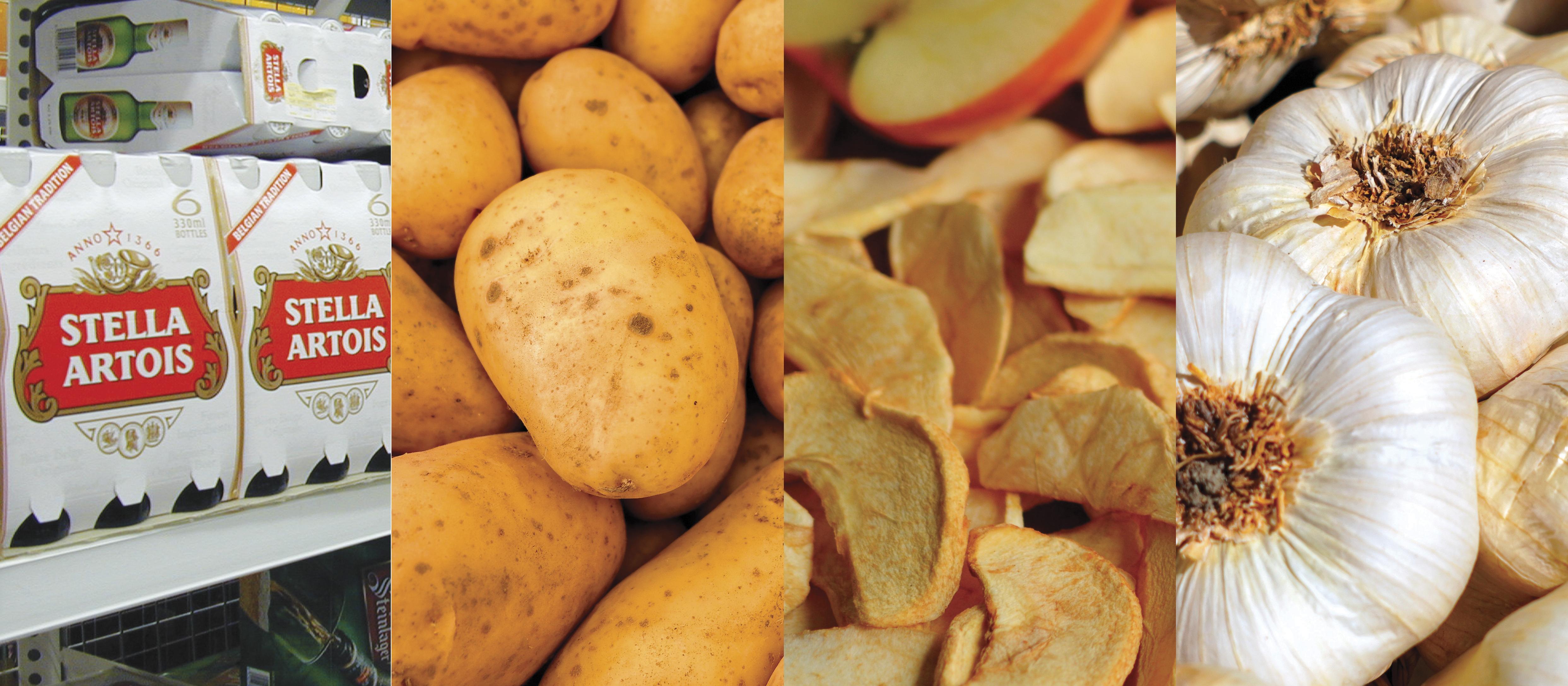 Phosphorus: Is there a supplement for that?