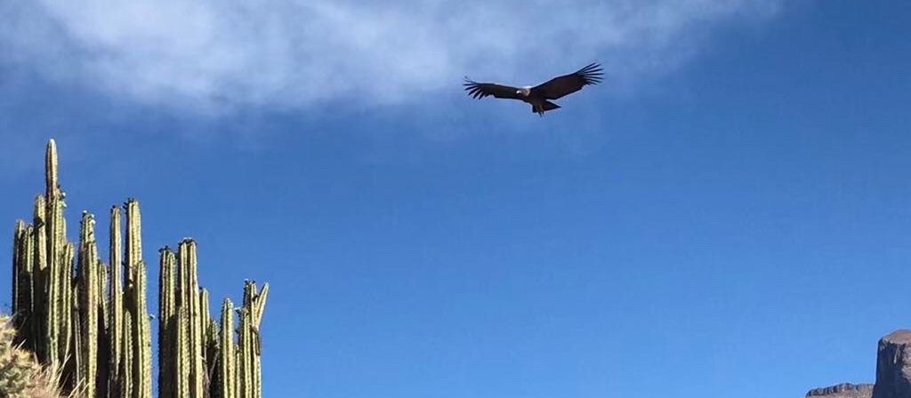 Peru - sky