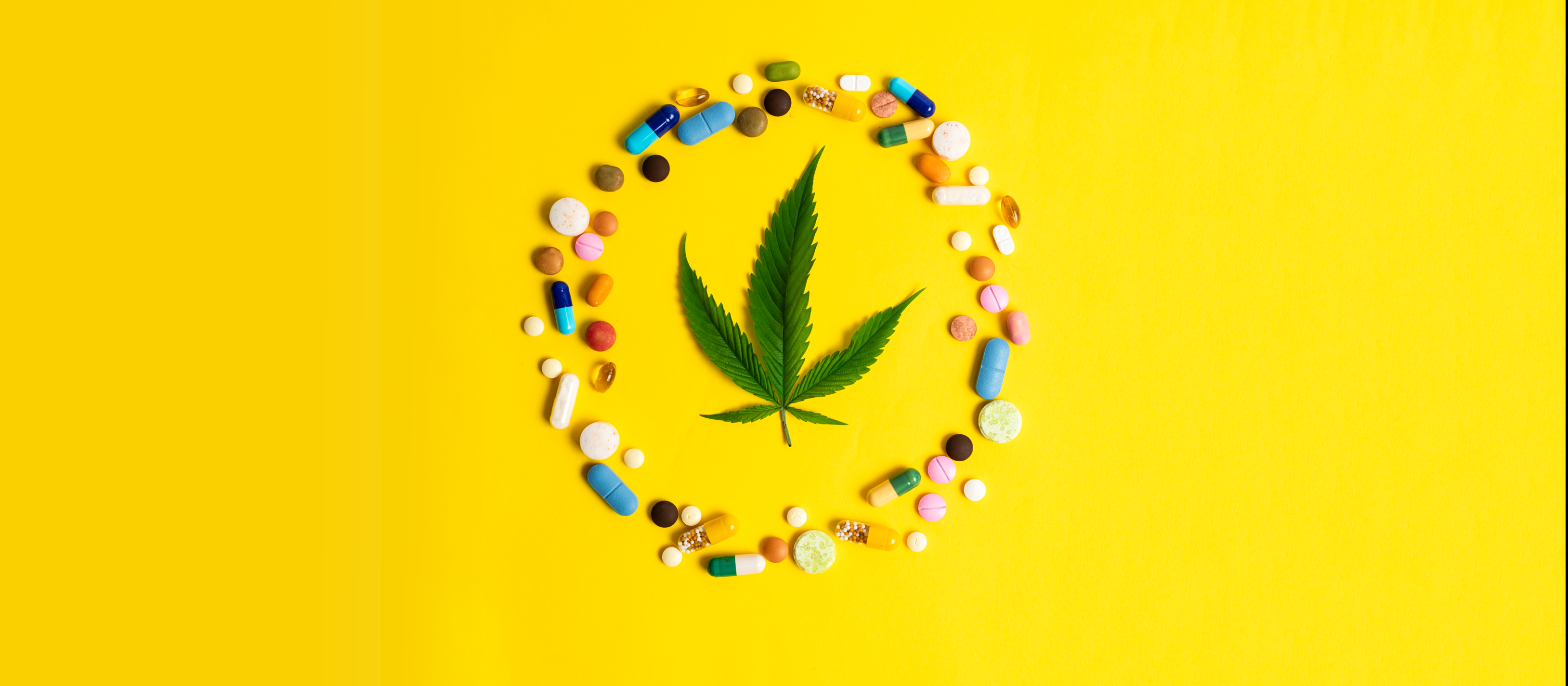 Cannabis leaf and medicine 