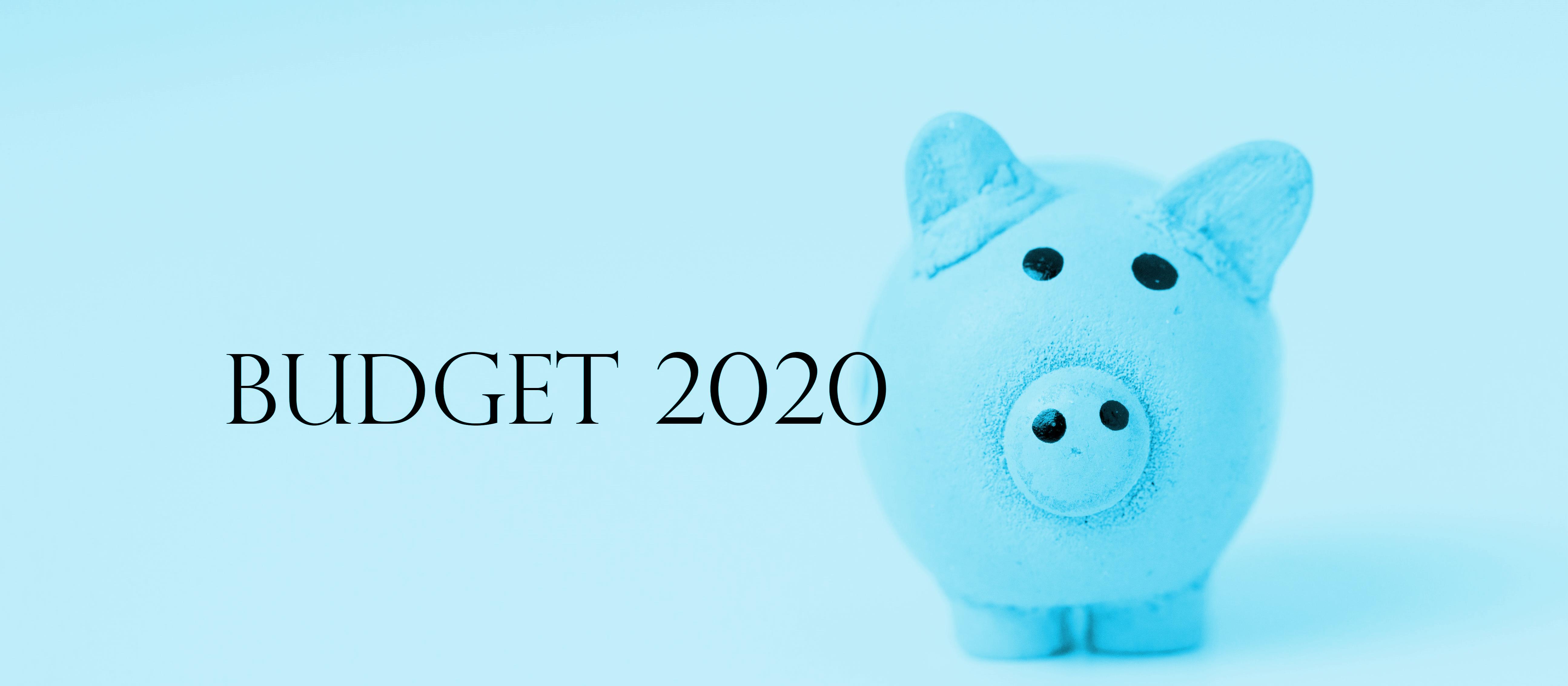 Budget 2020 piggy blue