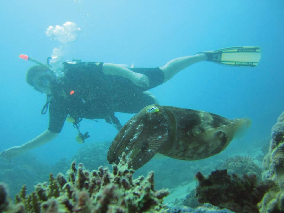 Laura Dowd scuba-diving