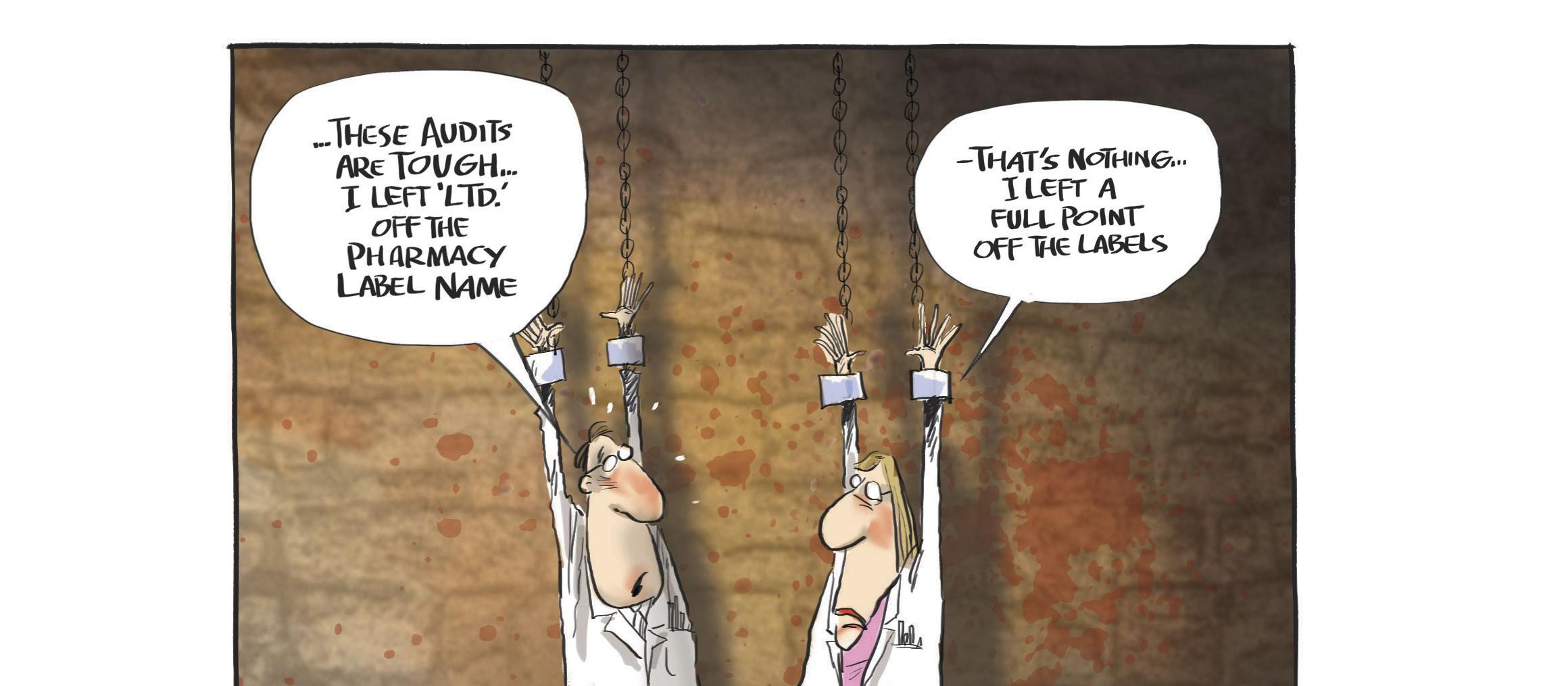 Audit Cartoon by Rod Emmerson
