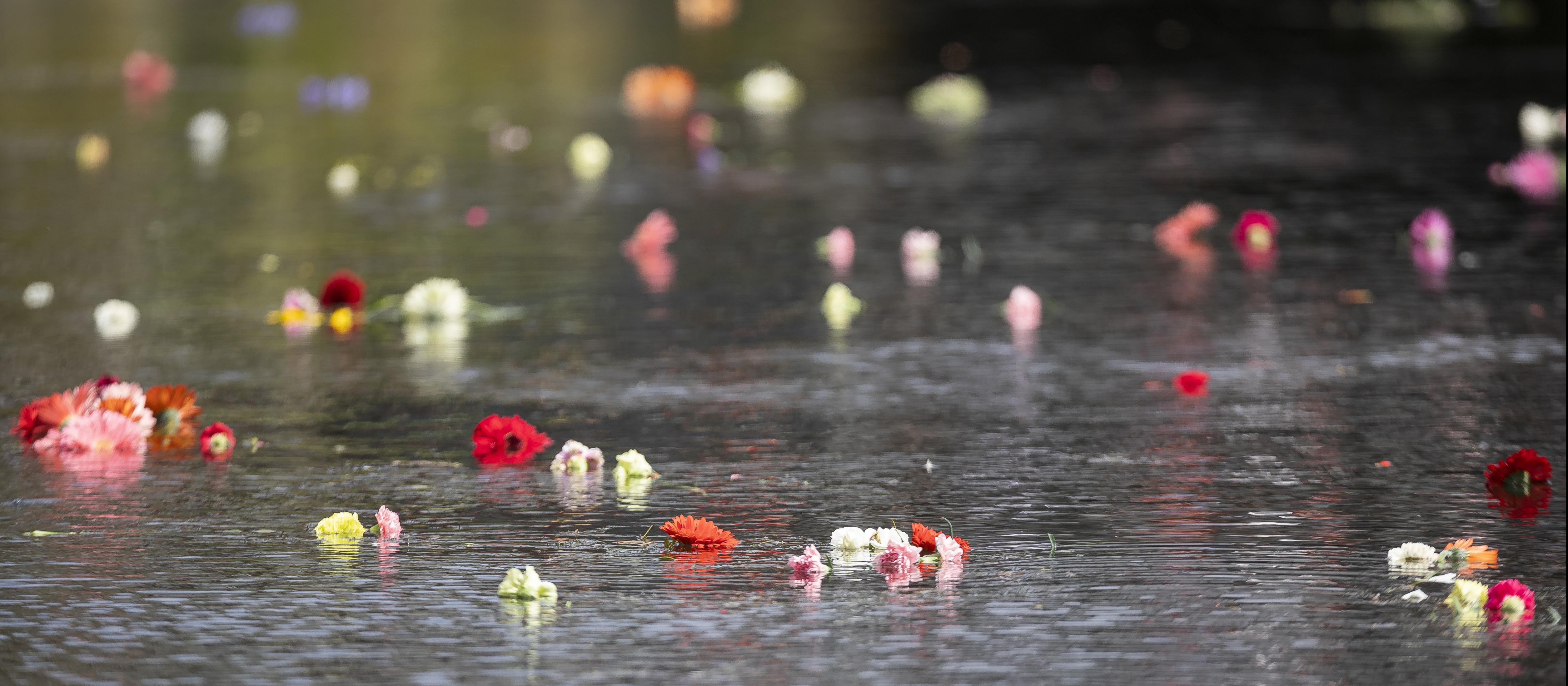 River of flowers Christchurch Earthquake memorial credit STUFF