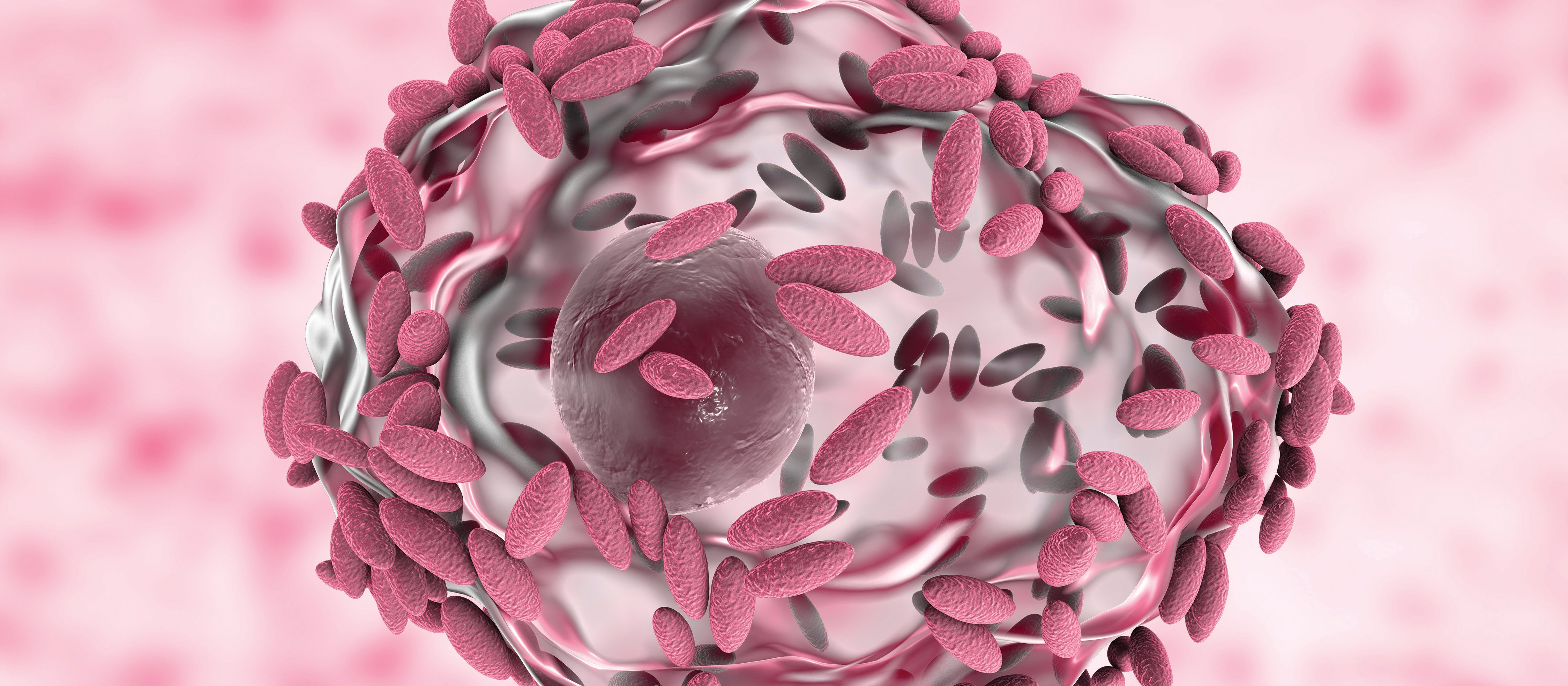 iStock.com – Dr Microbe