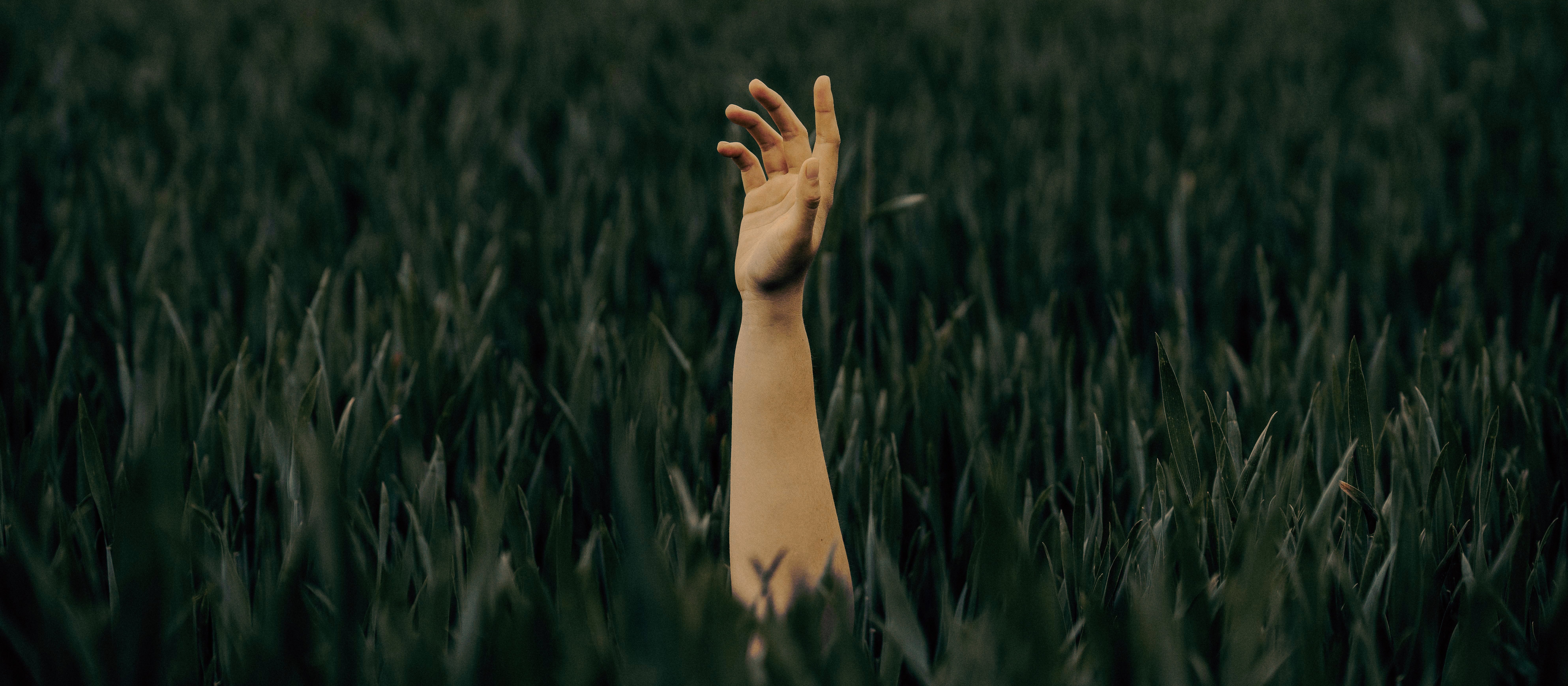 Image CR Christopher Ott on Unsplash