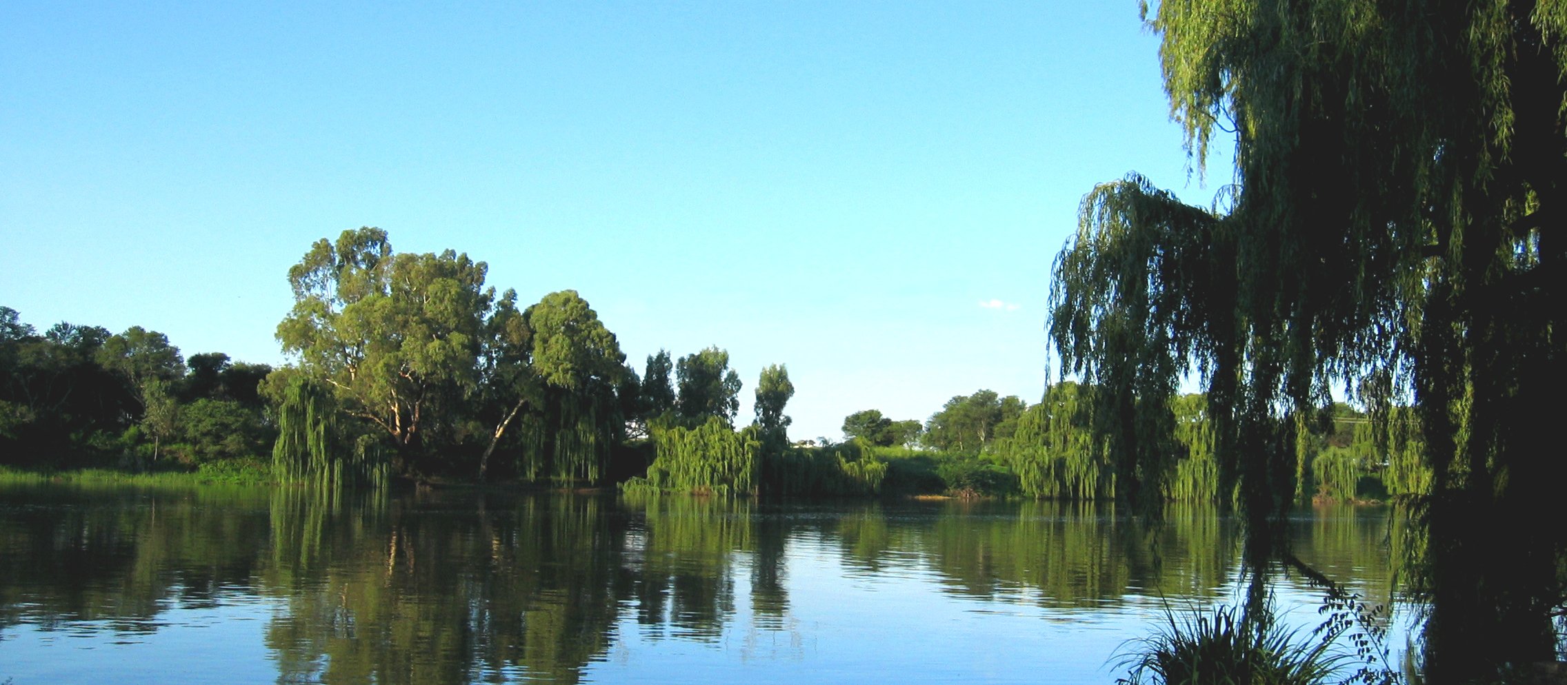 mirror, reflection, trees, river