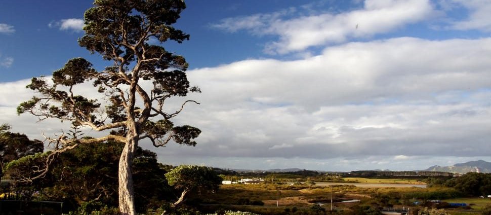Northland