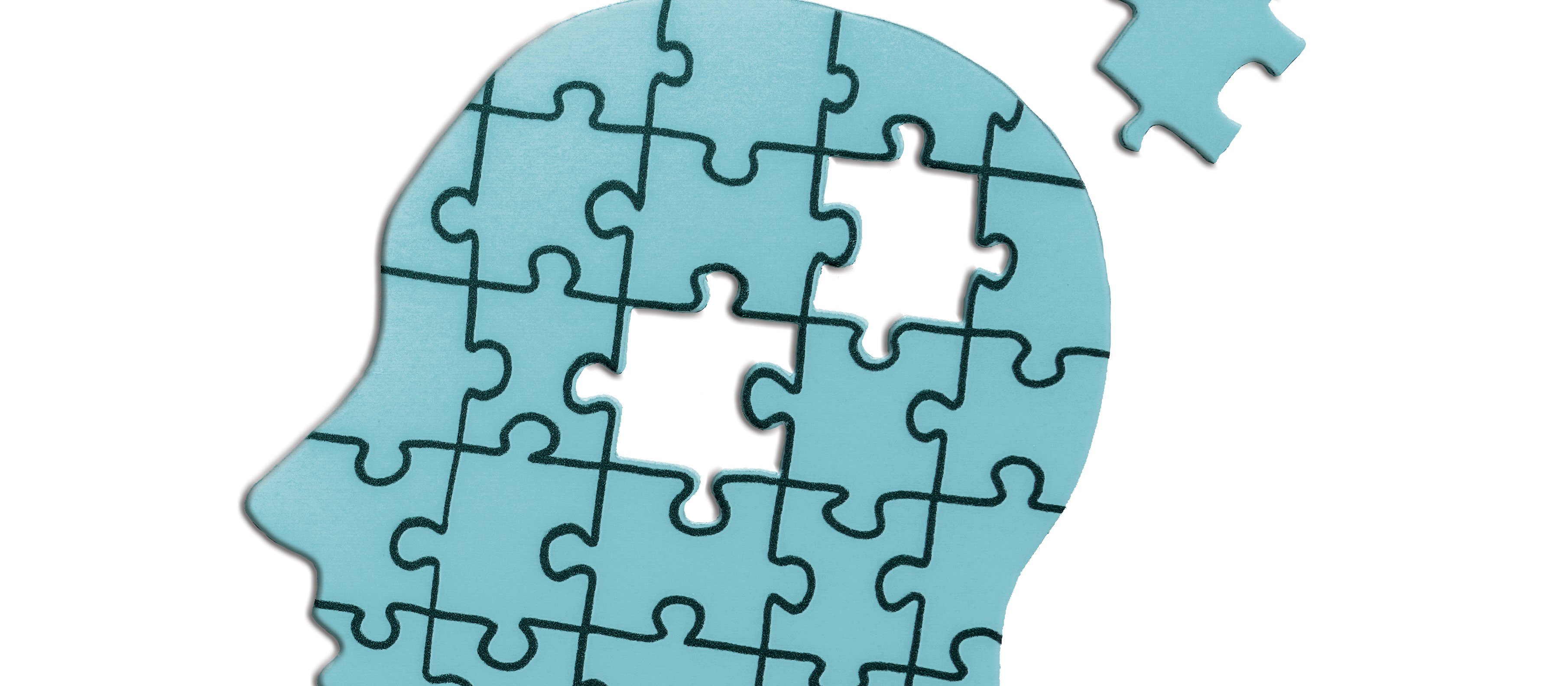 Jigsaw head
