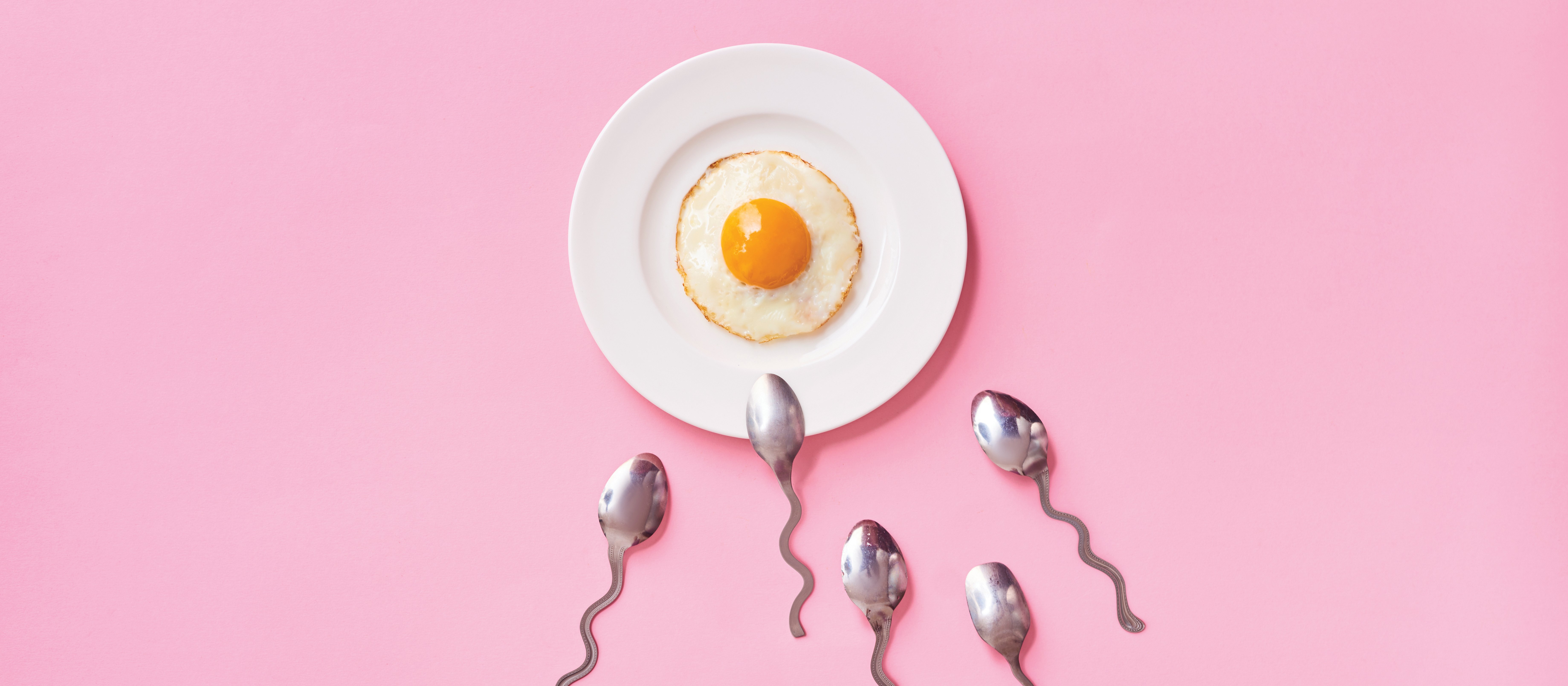 Fertility egg spoon sperm 