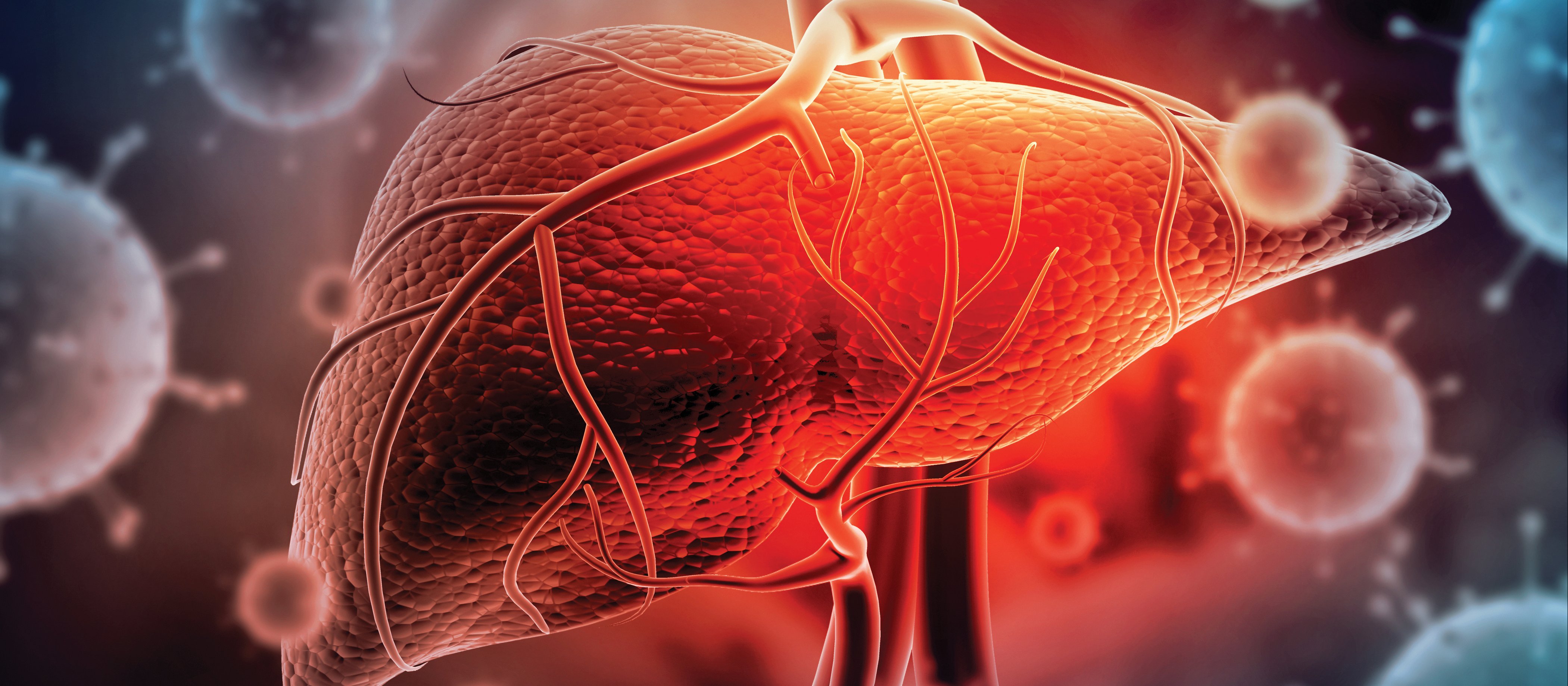 Liver Hepatitis C
