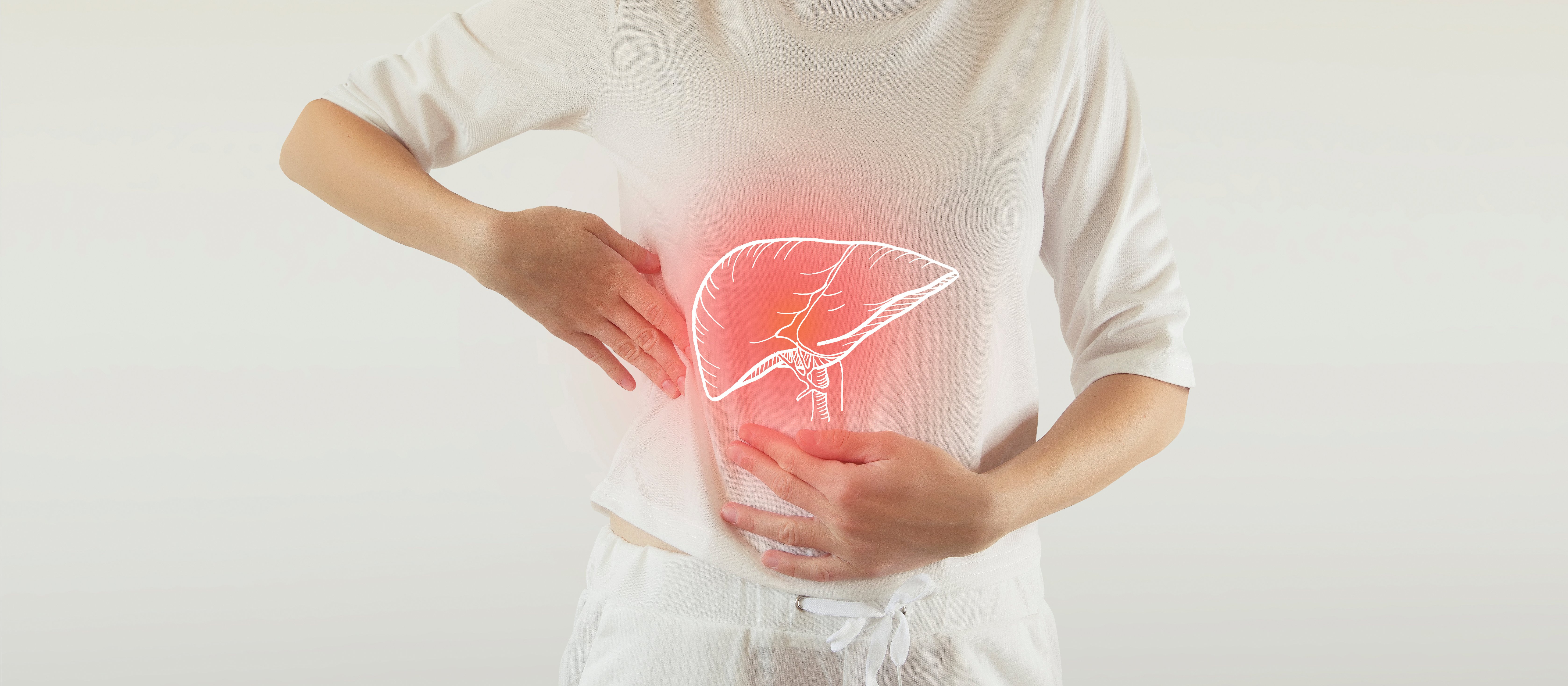 Hep B Liver