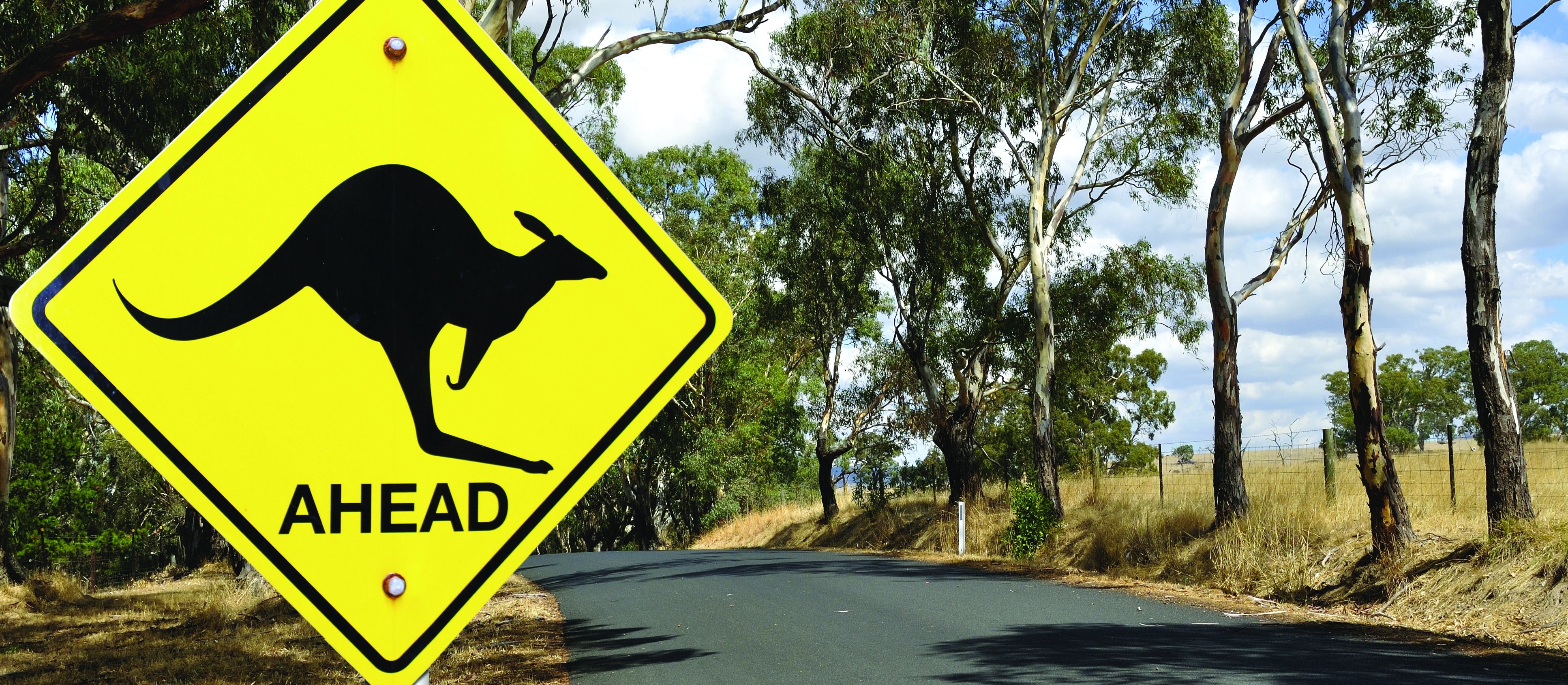 Kangaroo sign 