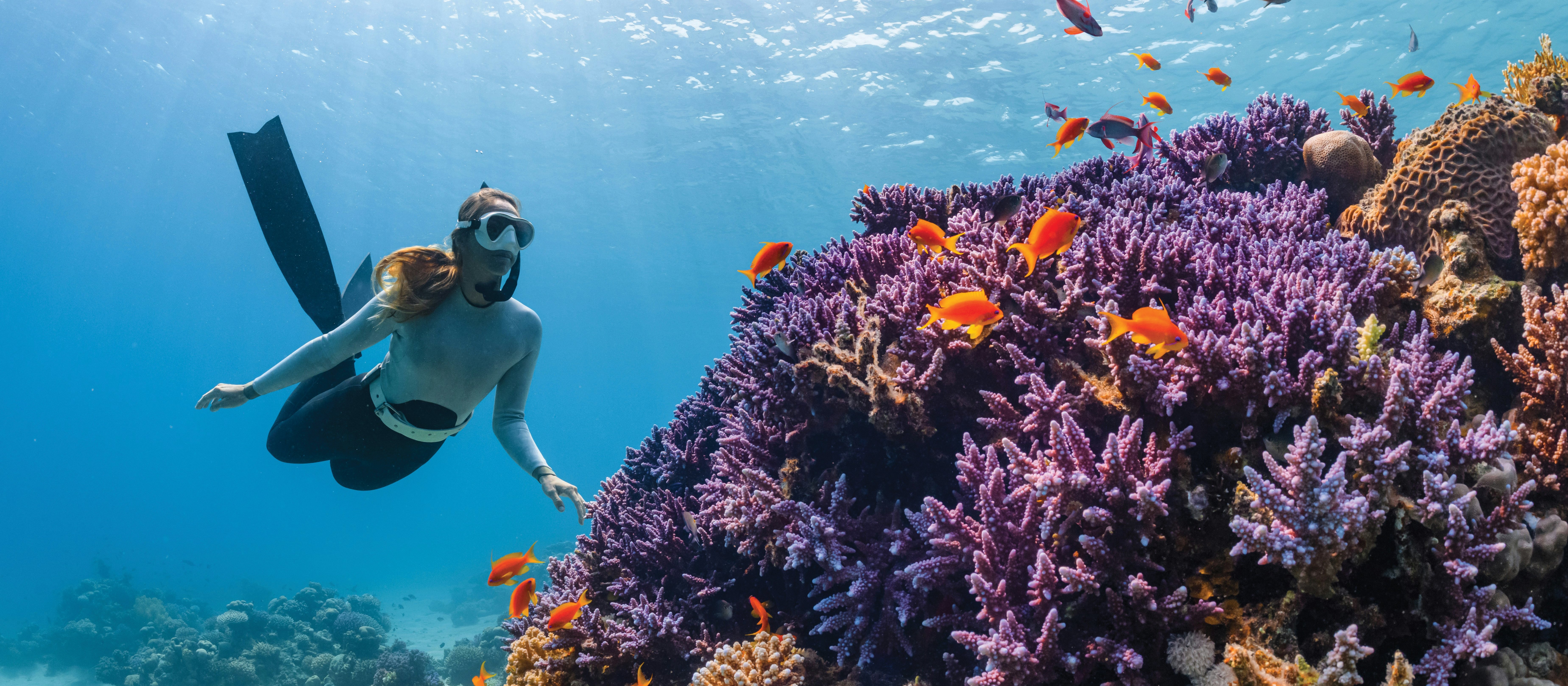 Woman_Snorkelling_on_Coral