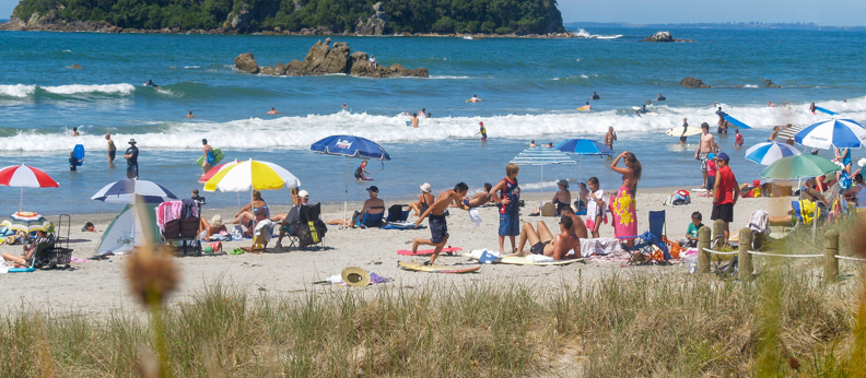 Beach_NZ_Xmas_CR_BrianScantlebury_on_iStock