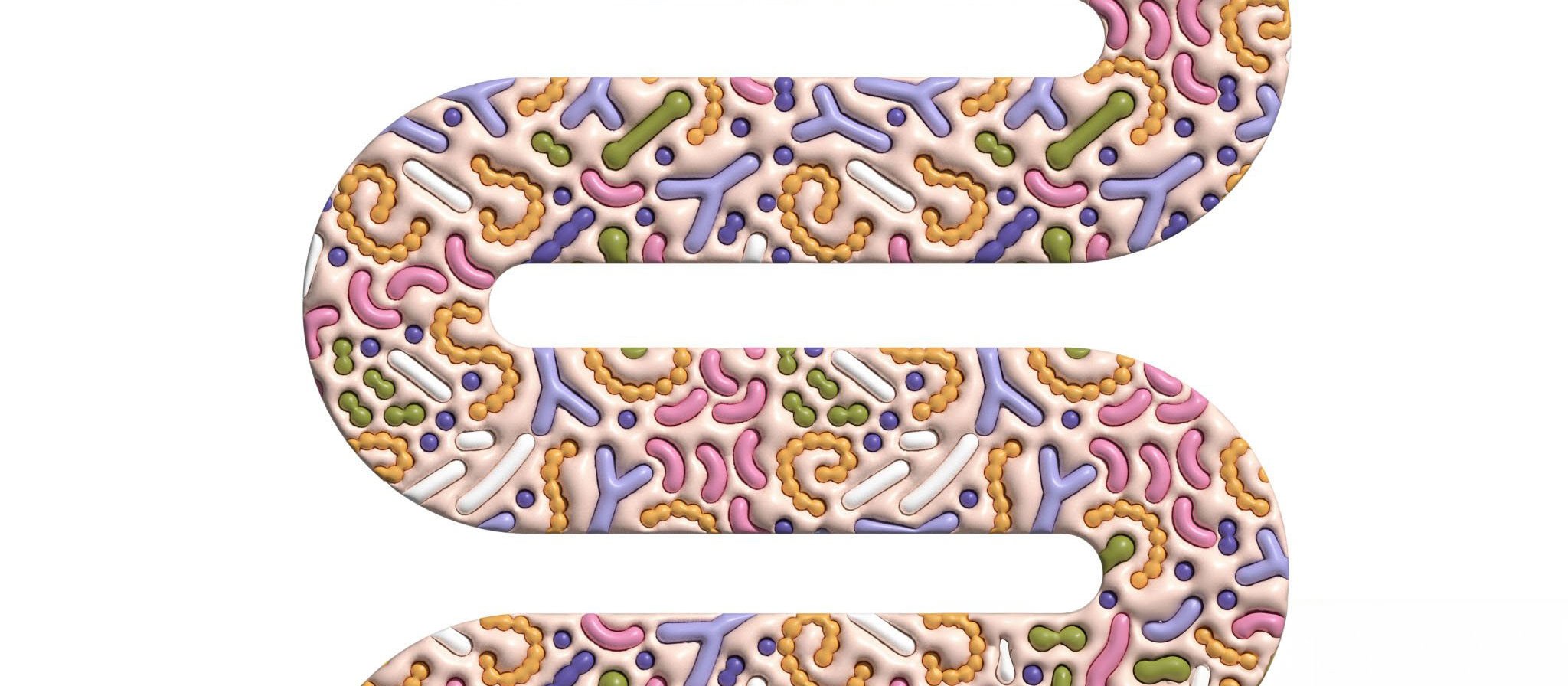 Probiotics-intestine