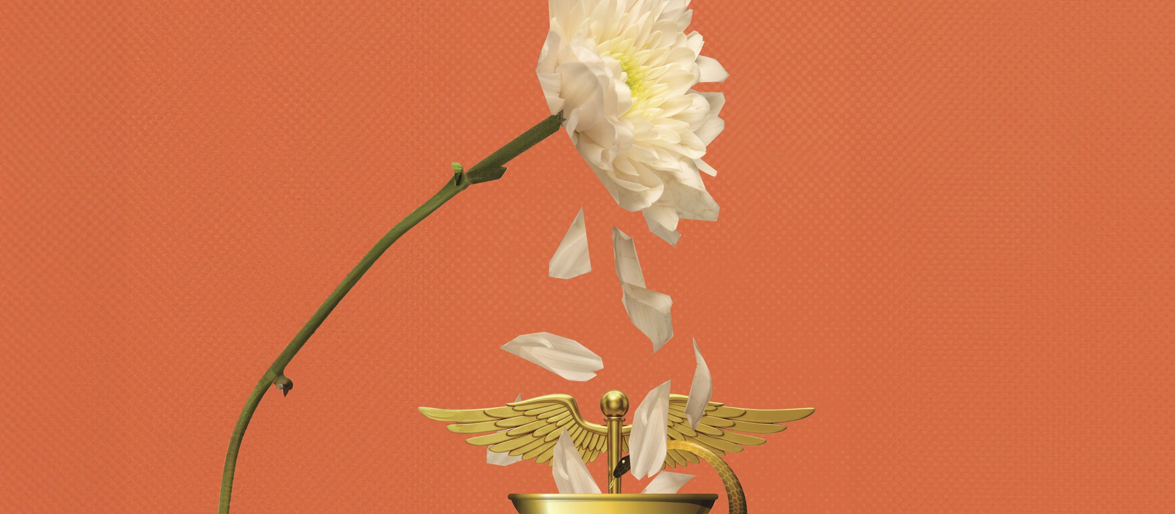 Wiltering flower into pharmacist cup