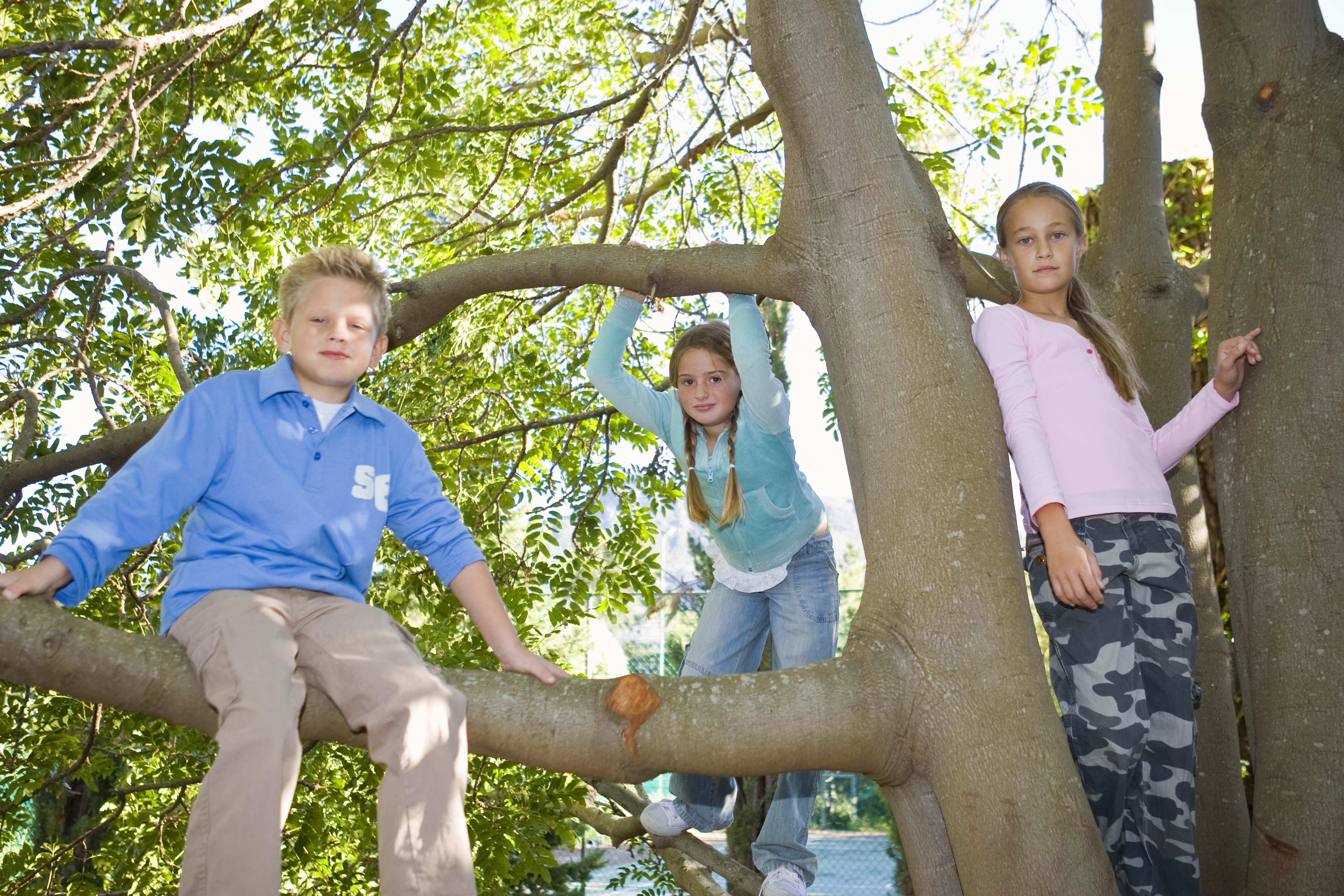 Children in a tree