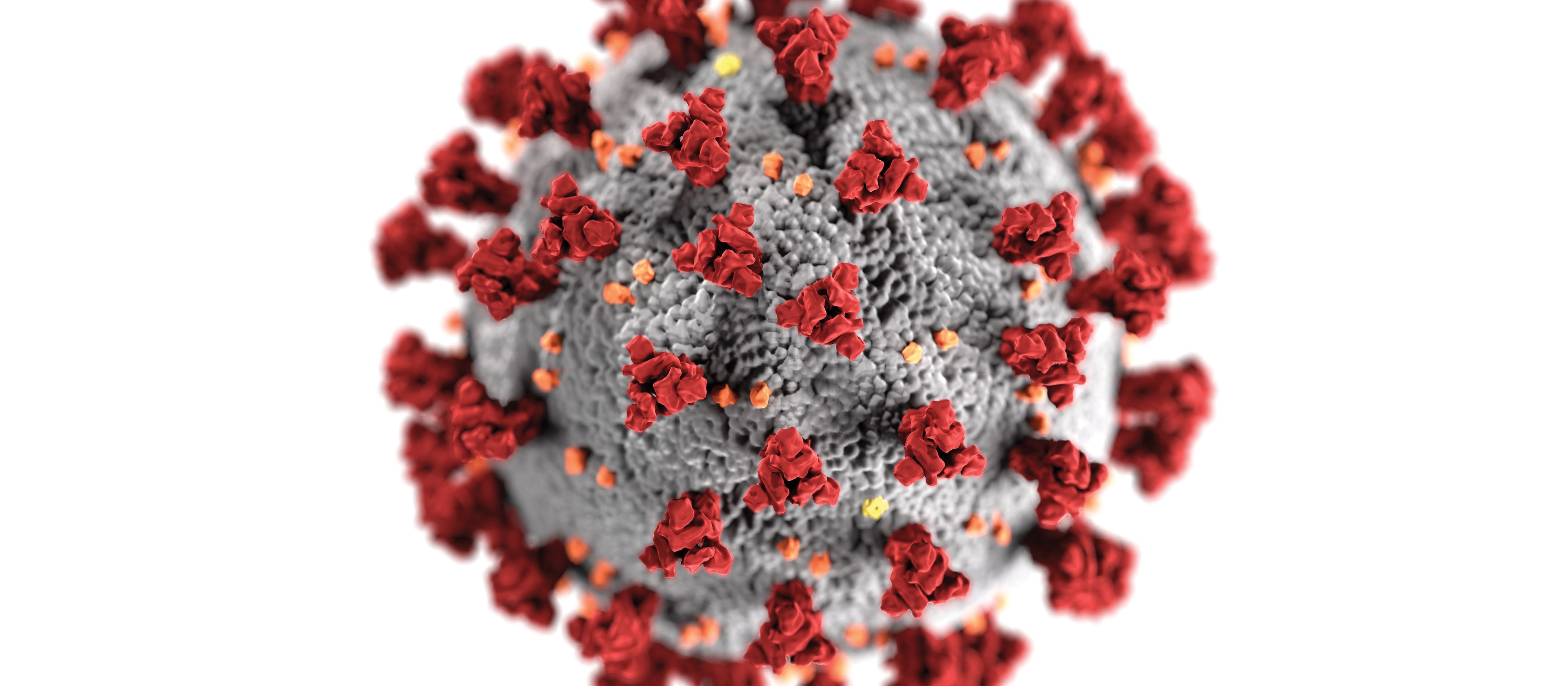 COVID virus on white backround CDC on Unsplash