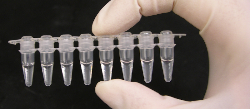 PCR test tubes Lab COVID-19