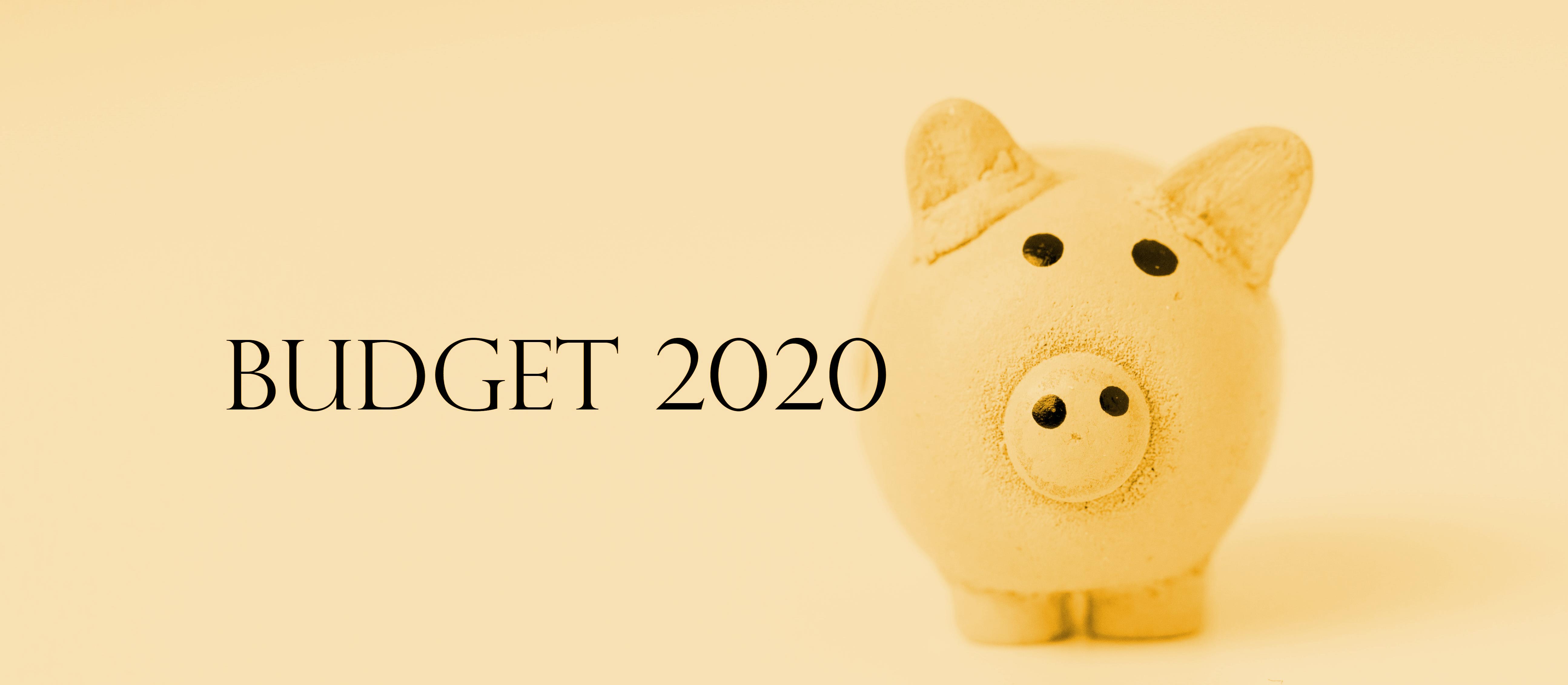 Budget 2020 Piggy_yellow