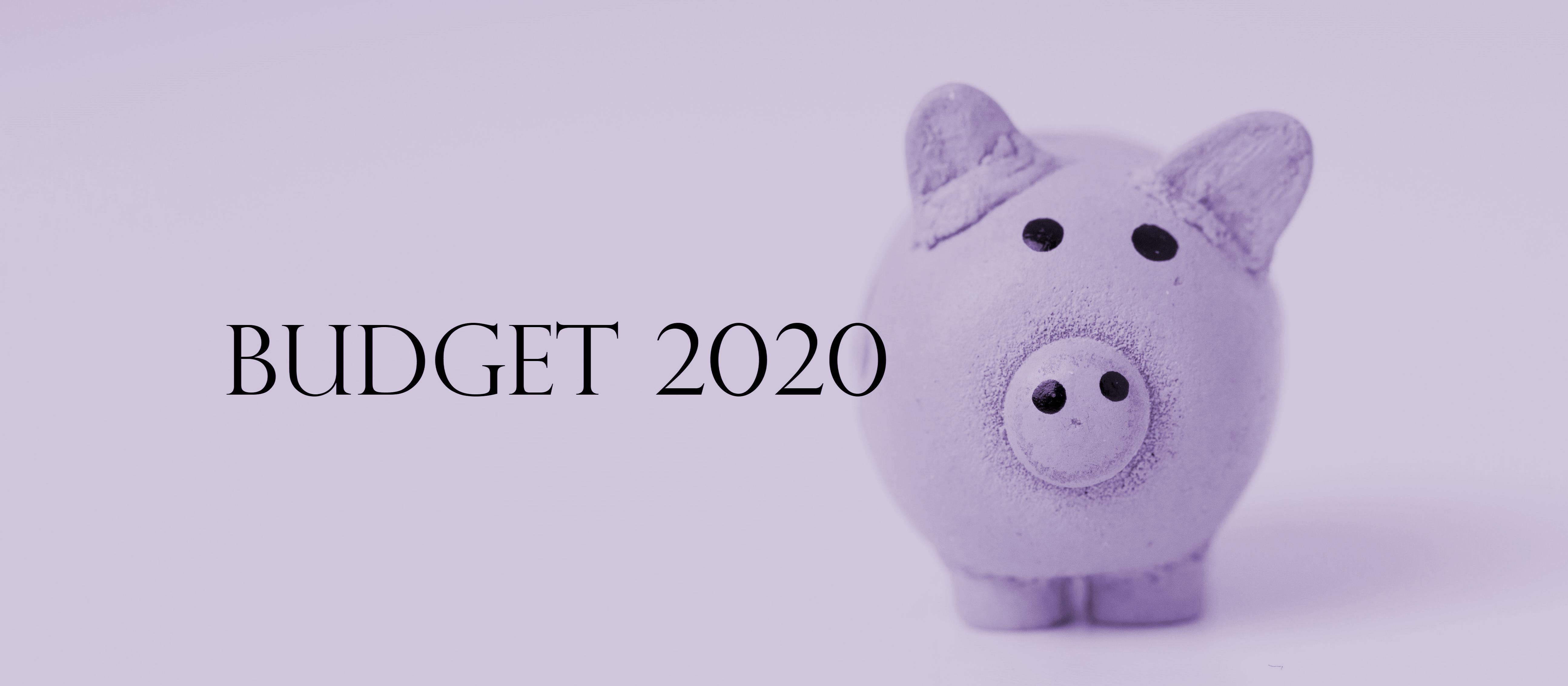Budget 2020 Piggy_purple