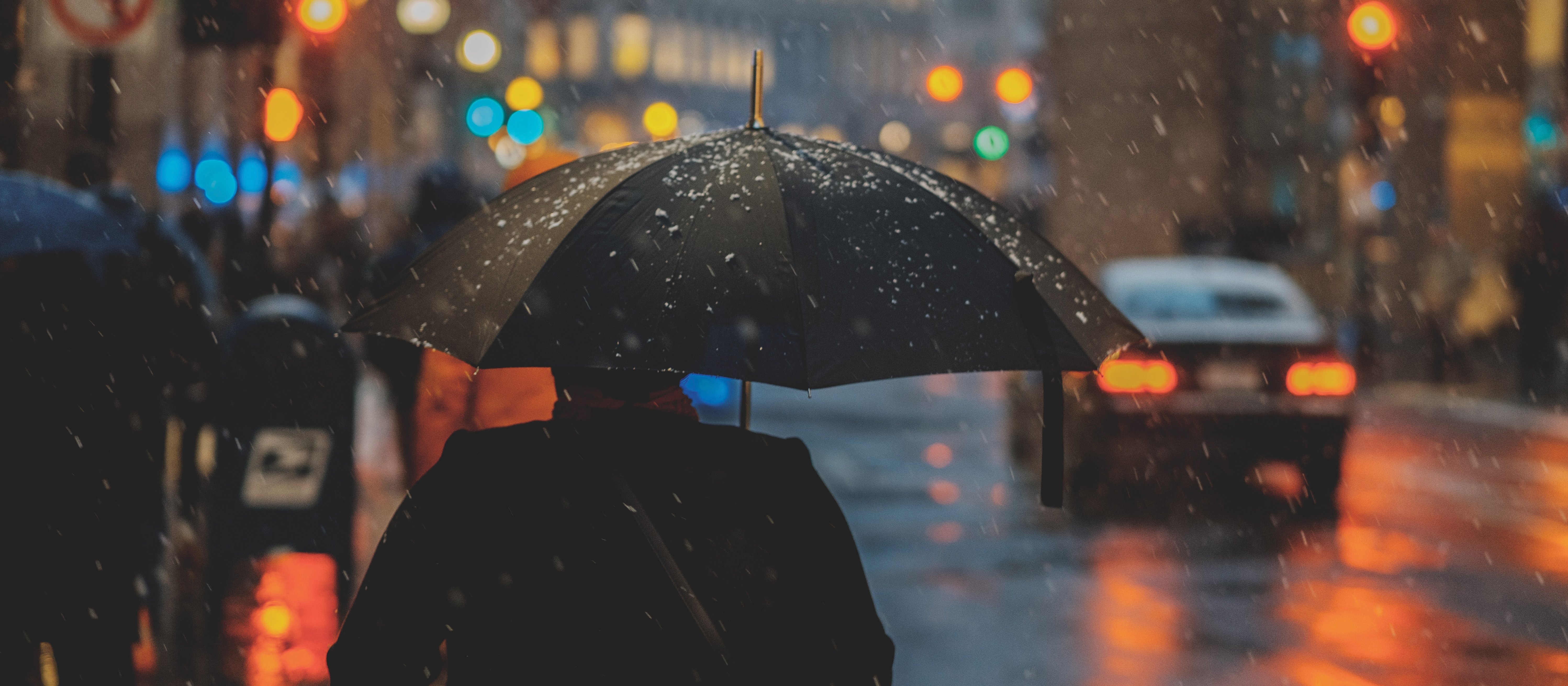 Winter Rain