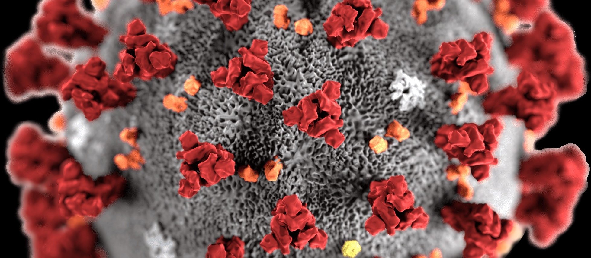 Wuhan coronavirus CDC