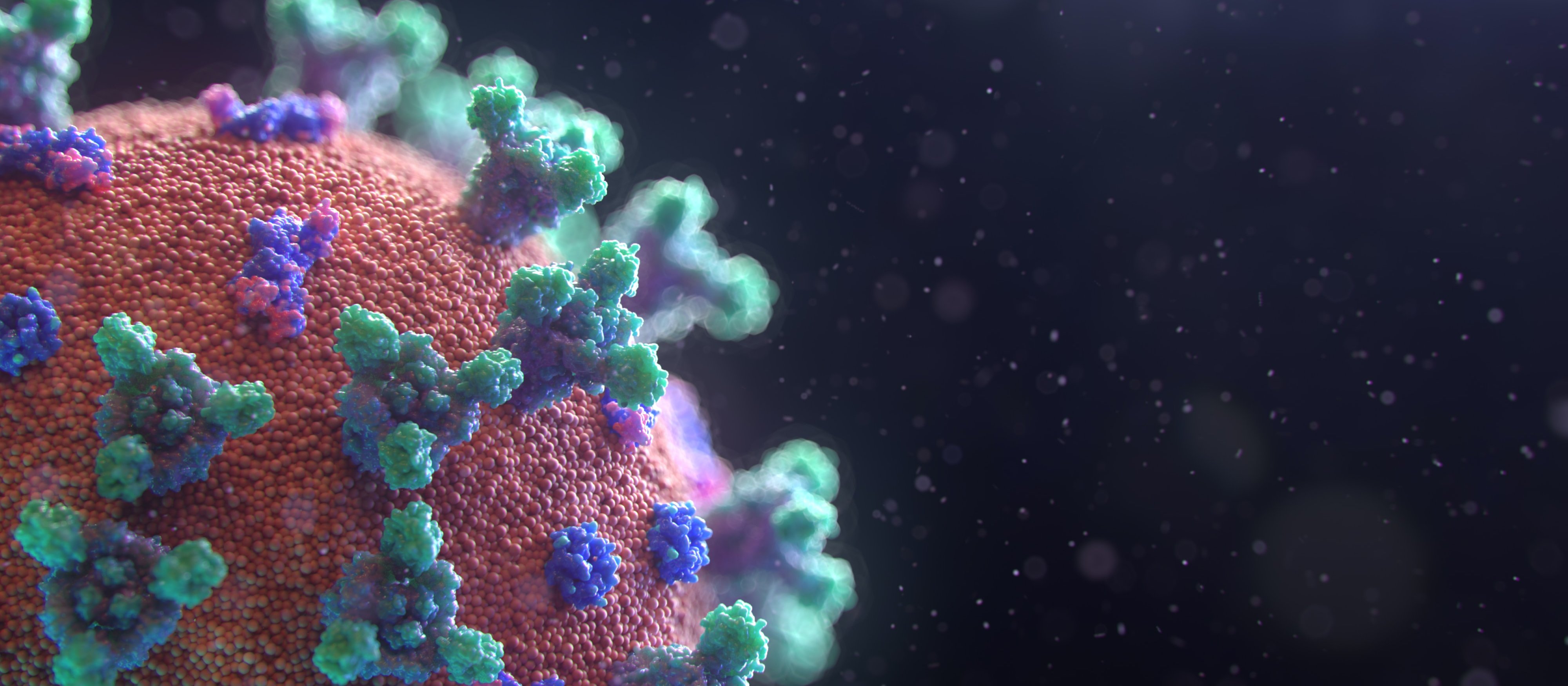 COVID-19 virus up close