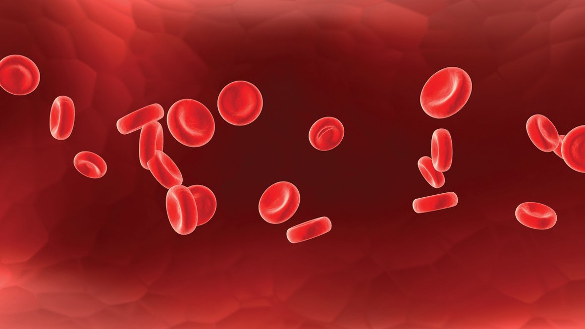 iron in blood