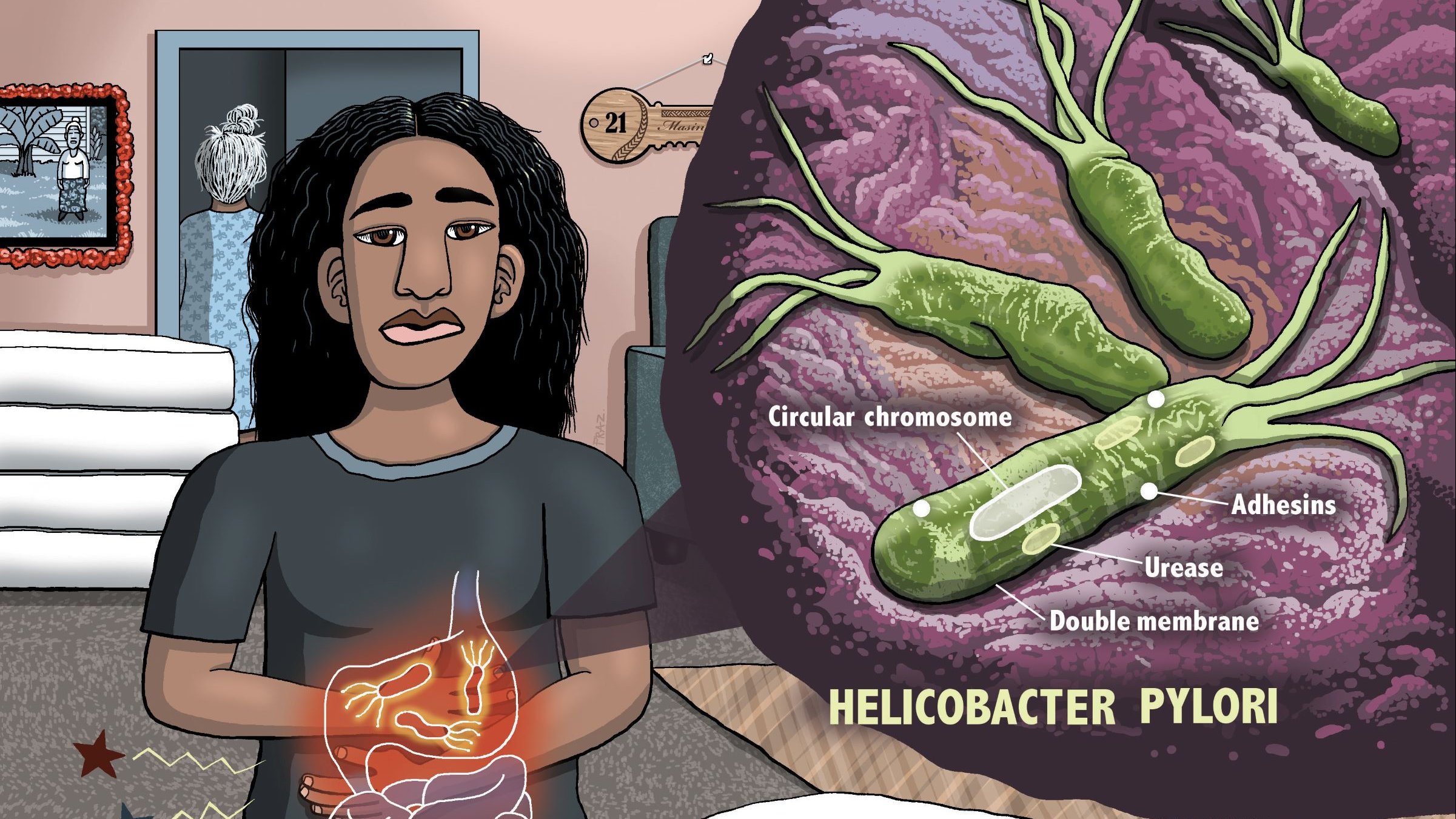 FRAZ_h_pylori