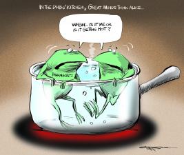 Cartoon of frogs in boiling pot