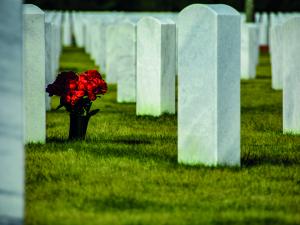 cemetery