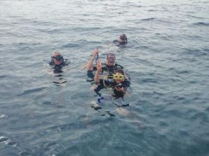 Julie Earwaker diving