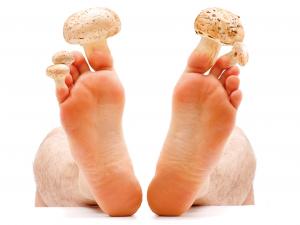 toenail fungus mushroom