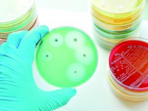 Antimicrobial, bacteria