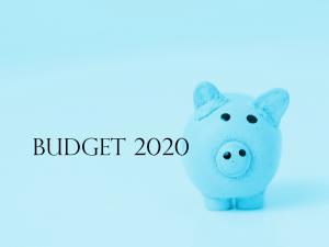Budget 2020 piggy blue