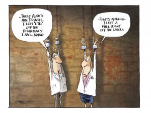 Audit Cartoon by Rod Emmerson
