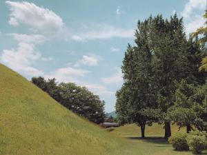 Hill field 