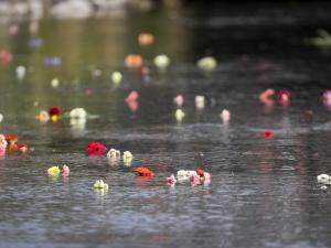 River of flowers Christchurch Earthquake memorial credit STUFF