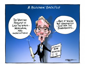 Bloomfield, vaccines, Fraz