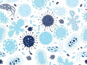 Bacteria and virus 