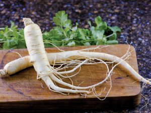 Ginseng_root_iStock.com ΓÇô 4kodiak