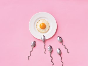 Fertility egg spoon sperm 