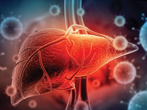 Liver Hepatitis C