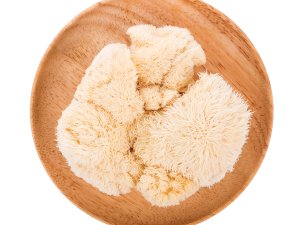 Lion’s mane (Hericium erinaceus) mushrooms