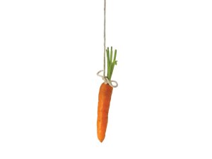 Dangle carrot